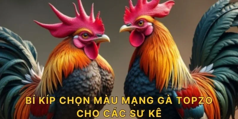 Bí kíp chọn màu mạng gà TOPZO cho các sư kê