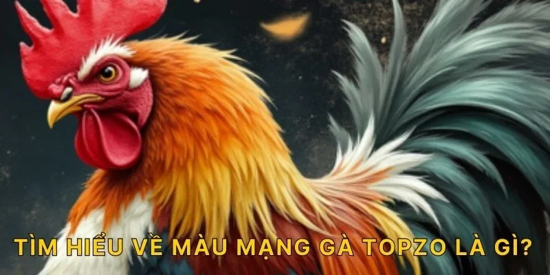 Tìm hiểu về màu mạng gà TOPZO là gì?