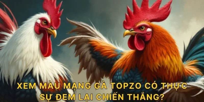 Xem màu mạng gà TOPZO  có thực sự đem lại chiến thắng?